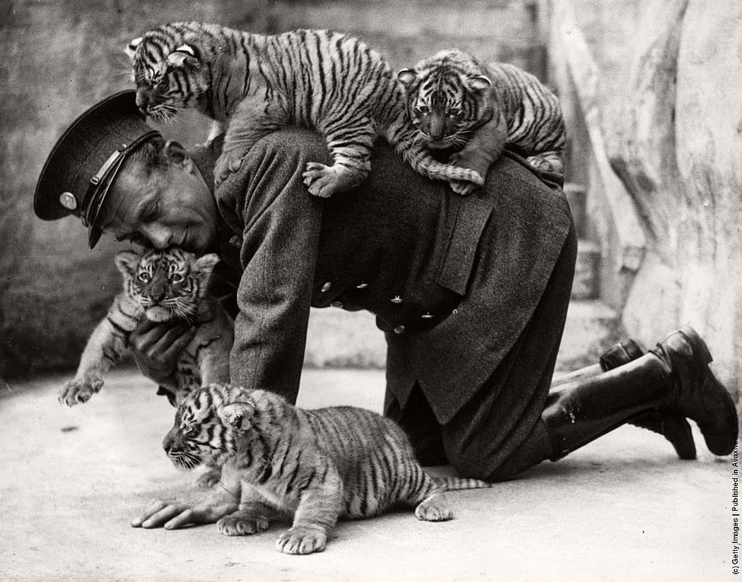 vintage-people-with-baby-animals-1930s-1960s-10