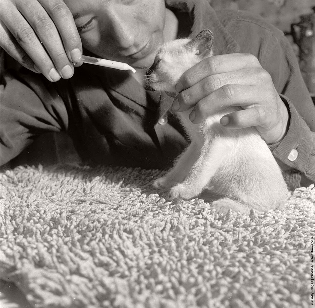 vintage-people-with-baby-animals-1930s-1960s-13