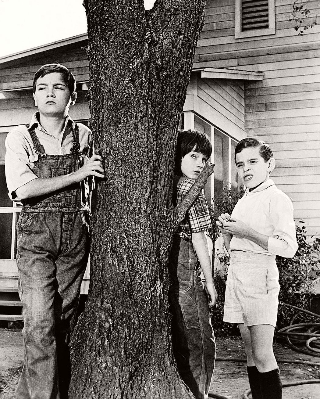 Top 104 Pictures To Kill A Mockingbird Characters Pictures Full Hd 2k 4k 102023 