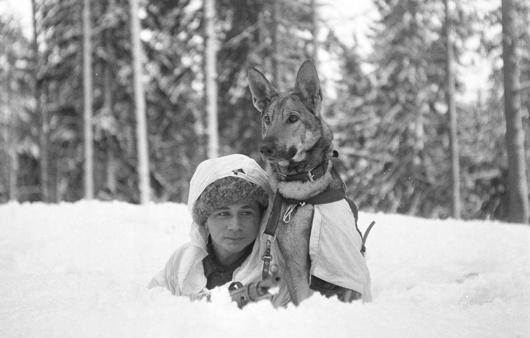 Finland-during-World-War-II-15