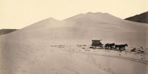 Vintage: The American West in the 19th Century