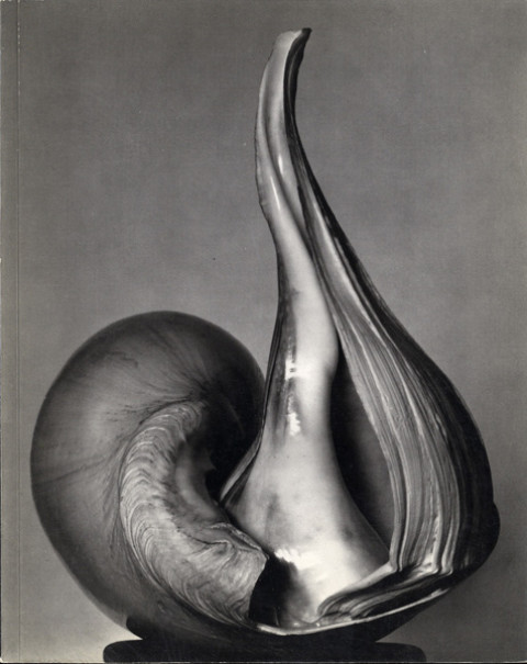 Biography: Edward Weston
