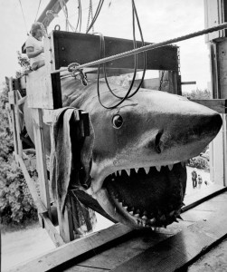 Behind the Scenes: Jaws (1975) | MONOVISIONS - Black & White ...