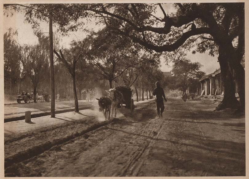 Peking-China-in-1920s-The Old Cart road - Hsi Chih Men