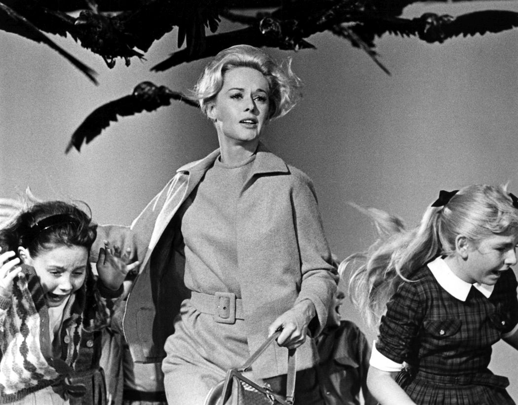 Behind the Scenes: The Birds (1963)