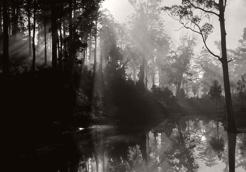 Early morning, Pemberton, Western Australia, 1930, photo: Emil Otto Hoppé