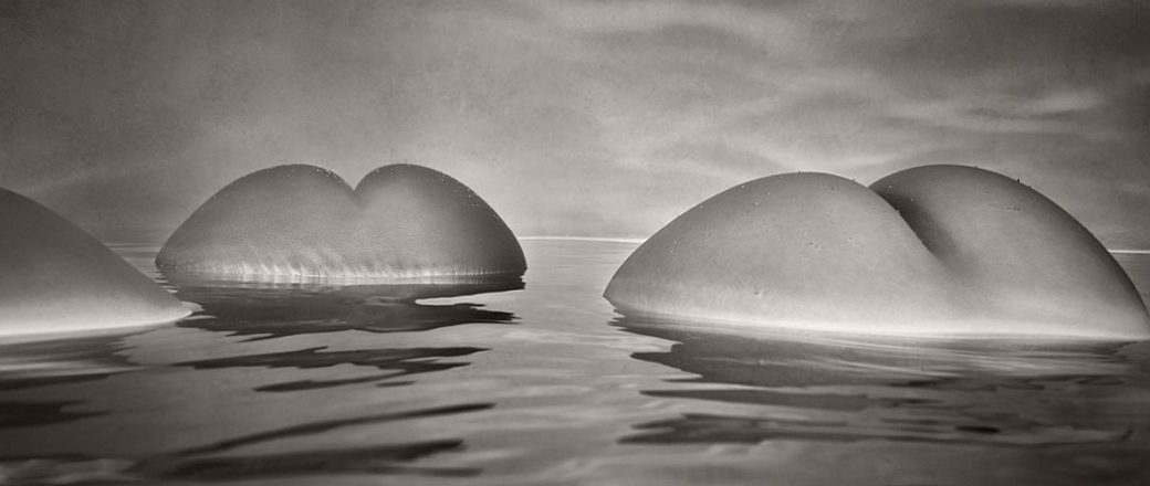 Black and White Nude Icebergs by Harry Fayt