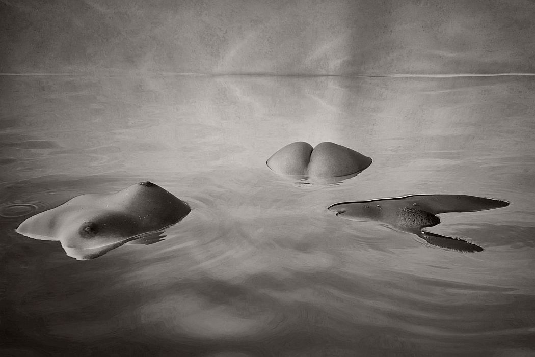 black-and-white-nude-icebergs-by-harry-fayt-04