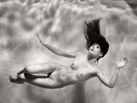 Black and White Underwater Nudes by Harry Fayt