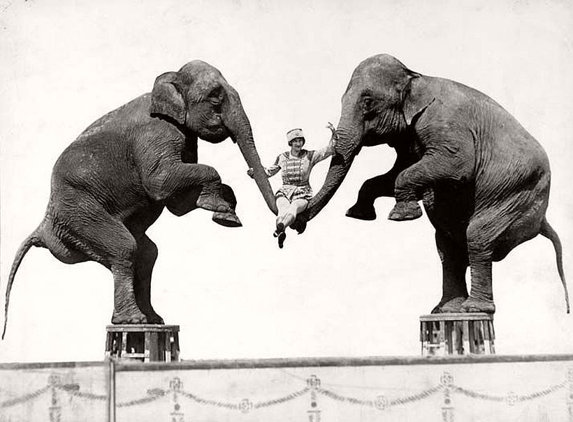 circus-life-photographer-harry-a-atwell-05
