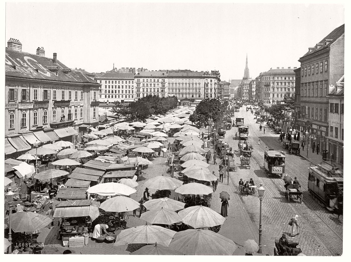 historic-photos-of-vienna-austria-hungary-in-the-late-19th-century-08