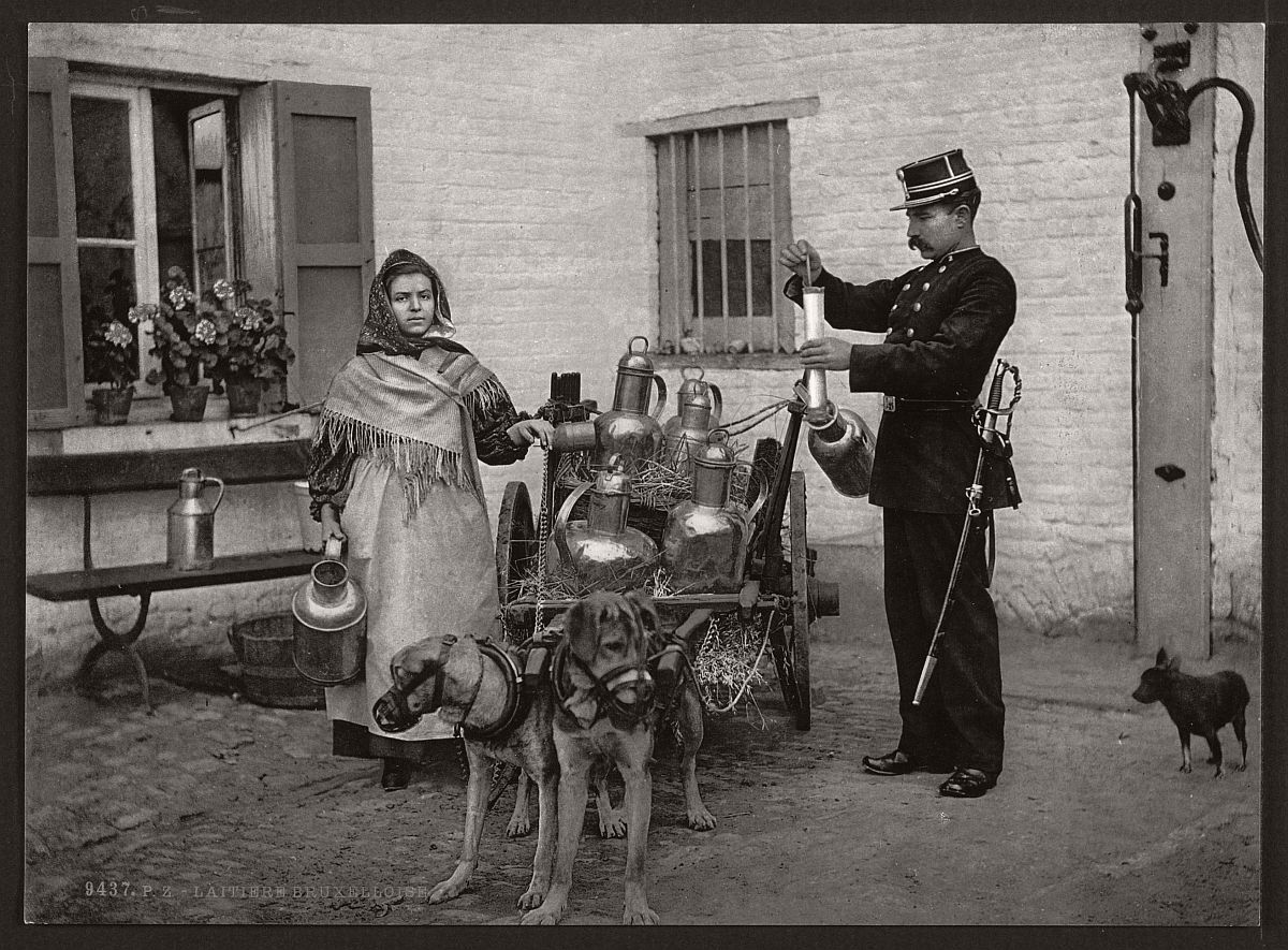 milk-sellers-in-brussels-belgium-in-the-19th-century-02