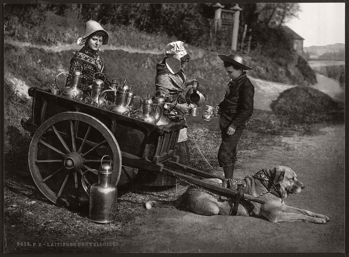 milk-sellers-in-brussels-belgium-in-the-19th-century-03
