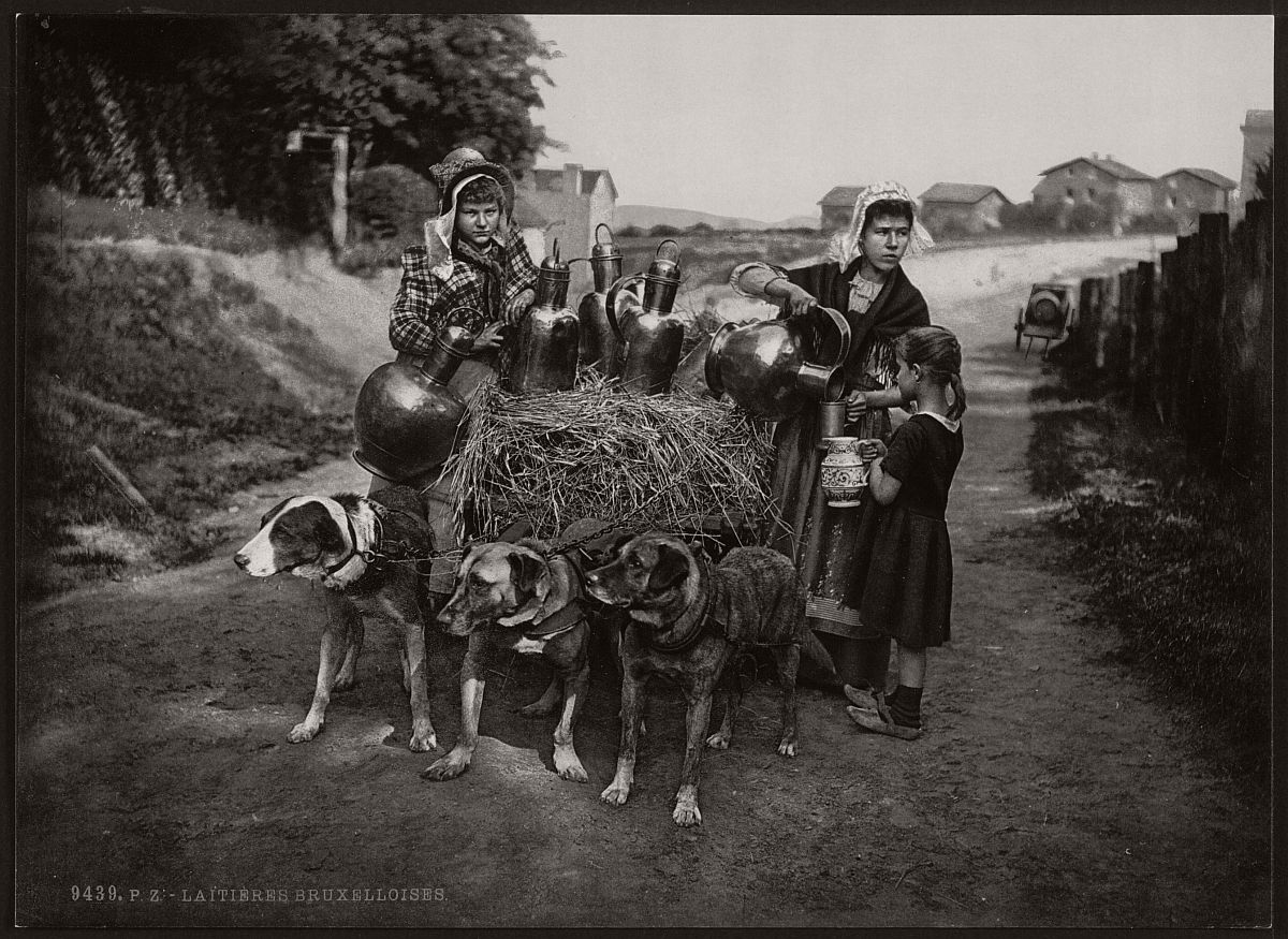 milk-sellers-in-brussels-belgium-in-the-19th-century-04