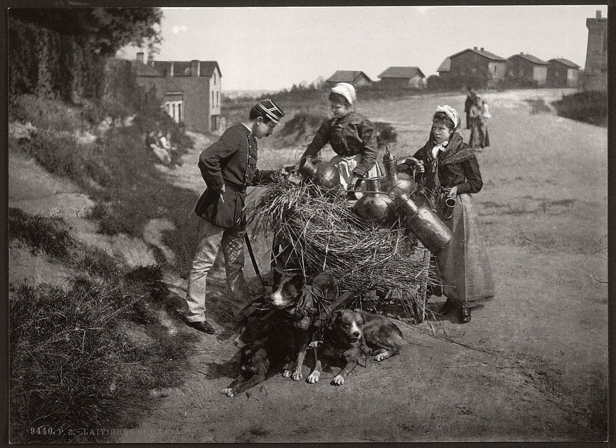 milk-sellers-in-brussels-belgium-in-the-19th-century-05