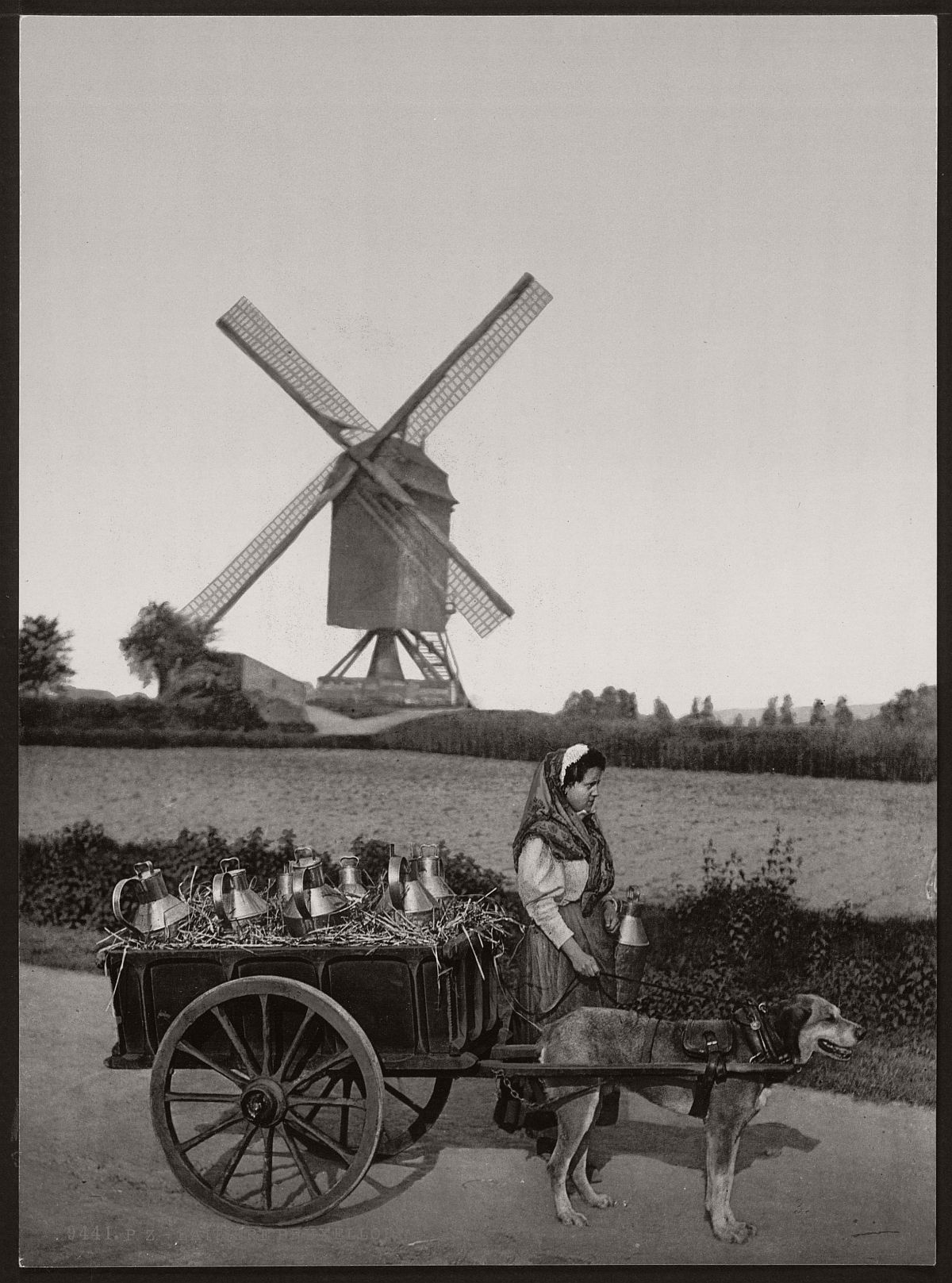 milk-sellers-in-brussels-belgium-in-the-19th-century-06