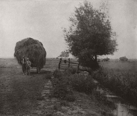 Biography: Pictorial Rural Life photographer Peter Henry Emerson