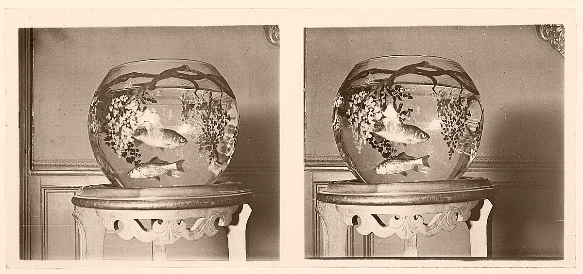 vintage-glass-stereographs-from-france-1920s-08