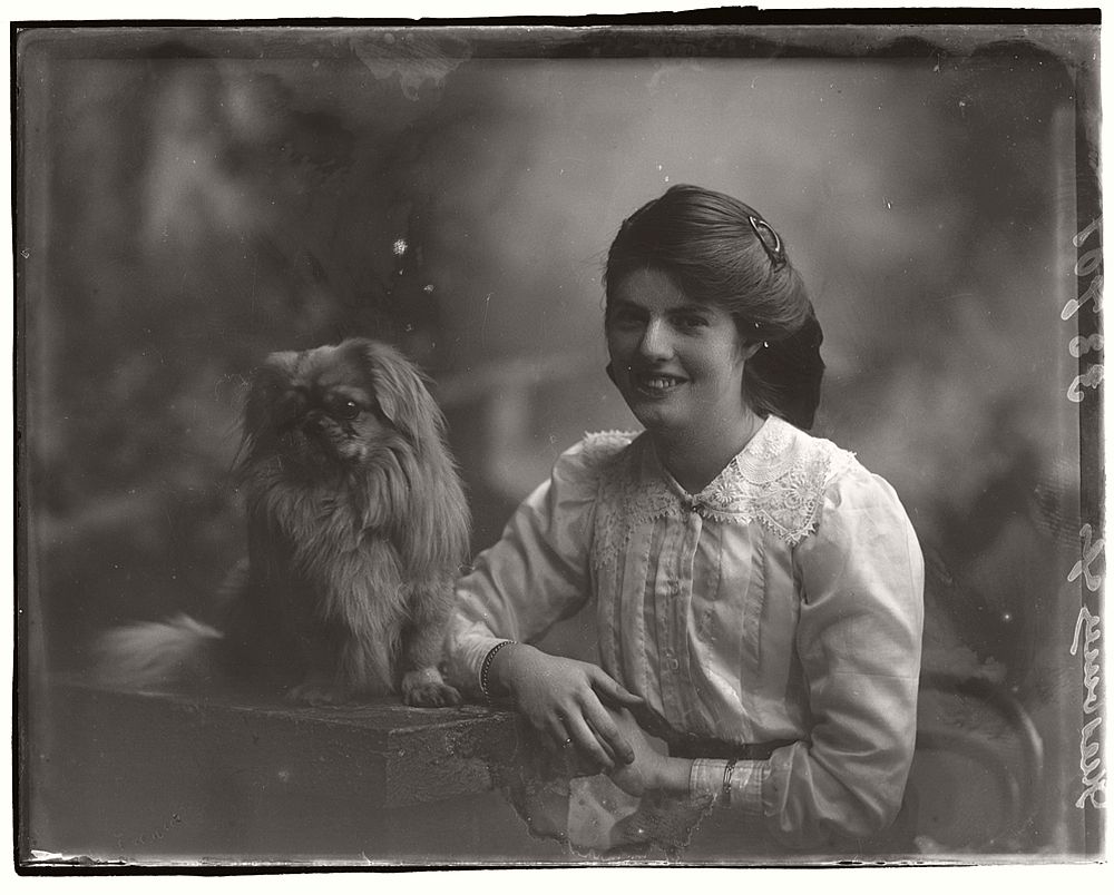 vintage-glass-wet-plate-collodion-portraits-of-pets-1910s-01