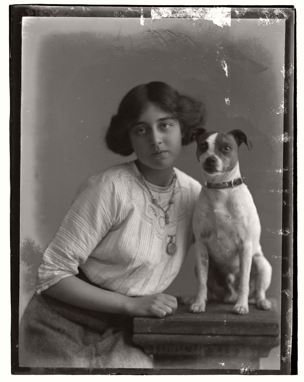 vintage-glass-wet-plate-collodion-portraits-of-pets-1910s-04