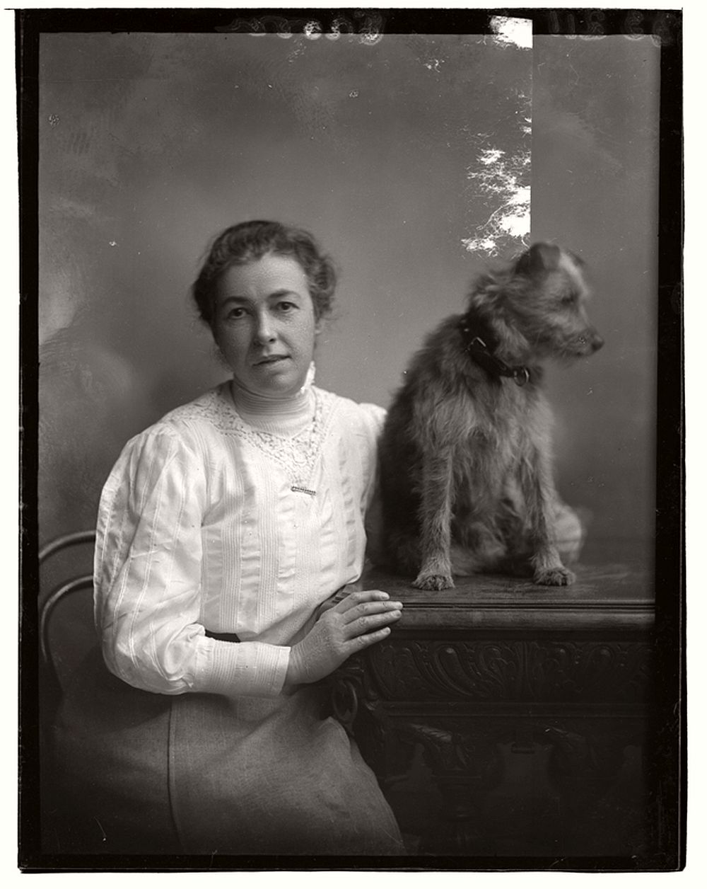 vintage-glass-wet-plate-collodion-portraits-of-pets-1910s-13