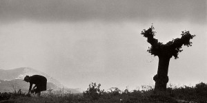 Henri Cartier-Bresson: Landscapes