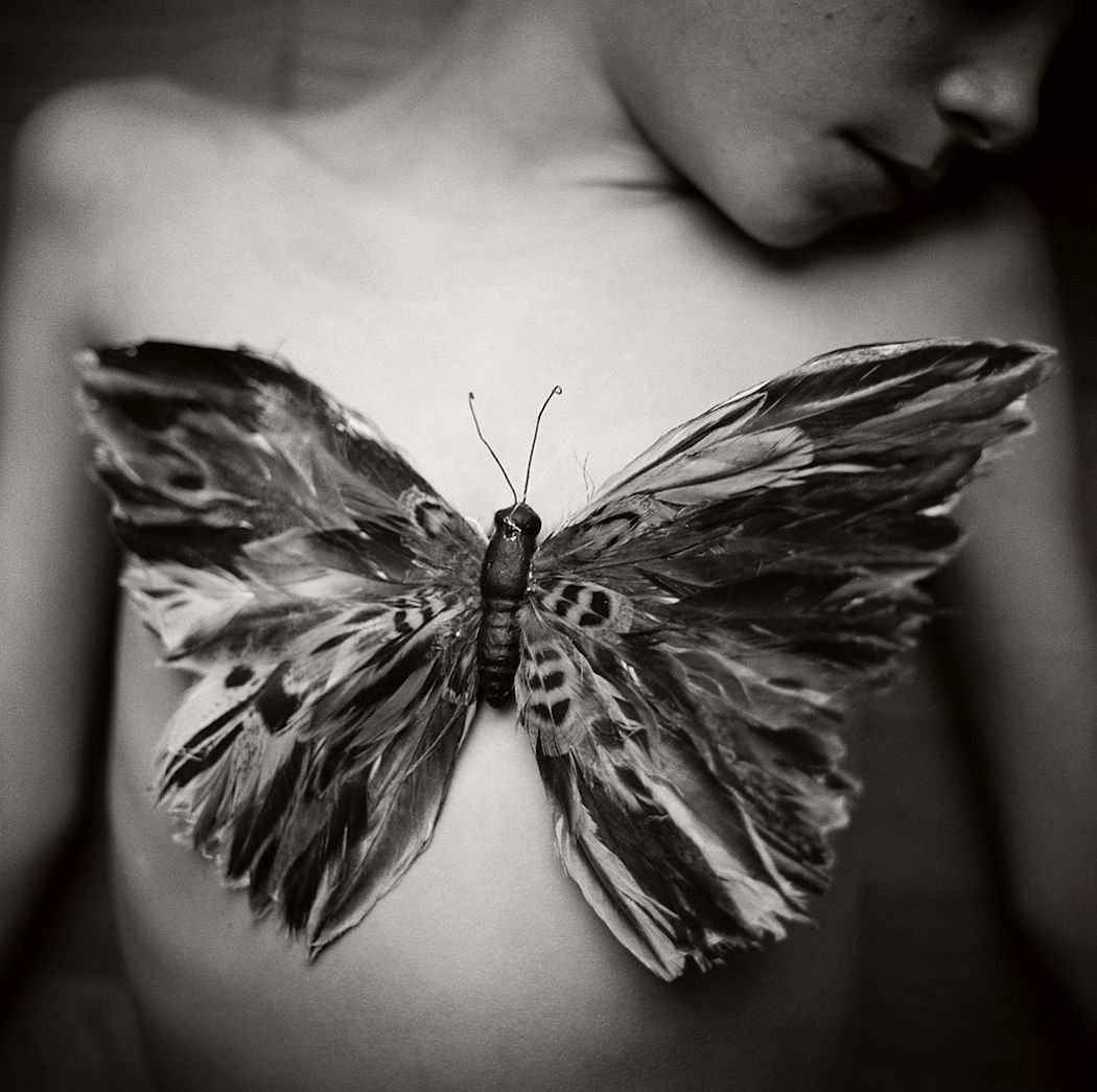 lori-vrba-the-moth-wing-diaries-03