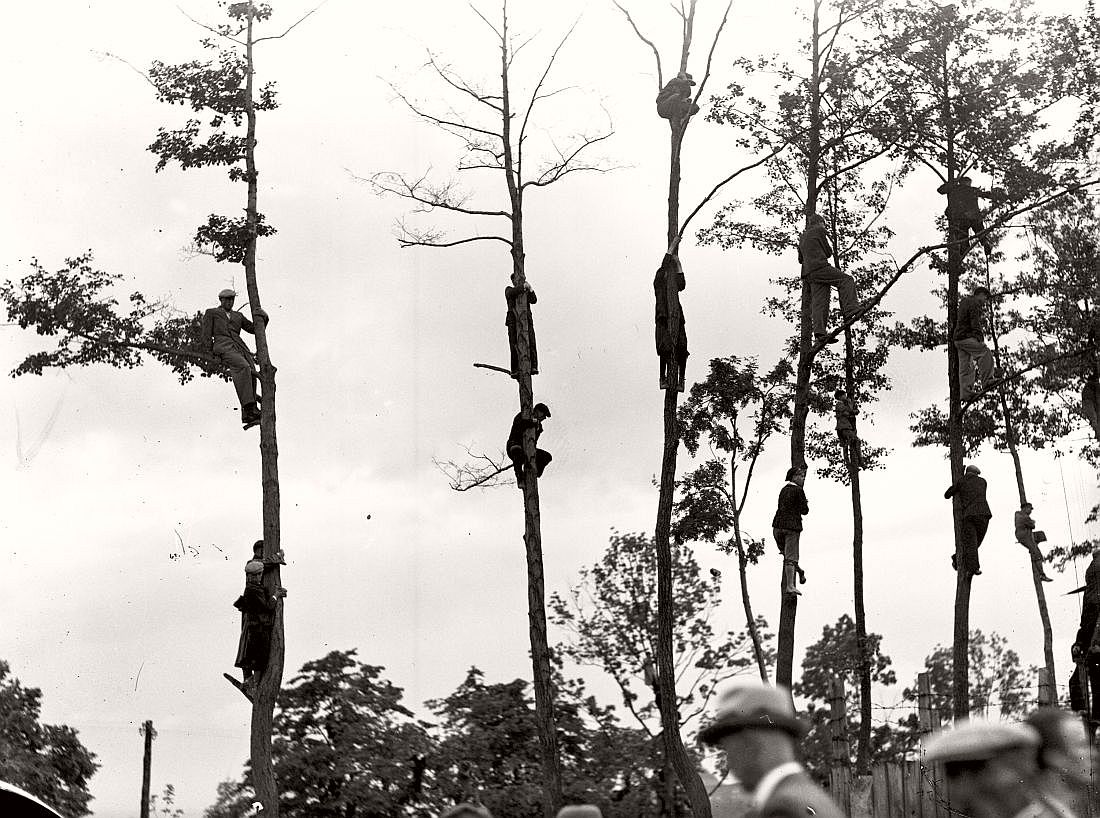 Fans on the trees during football match TS Wisla Krakow - Chelsea FC. Krakow,1936