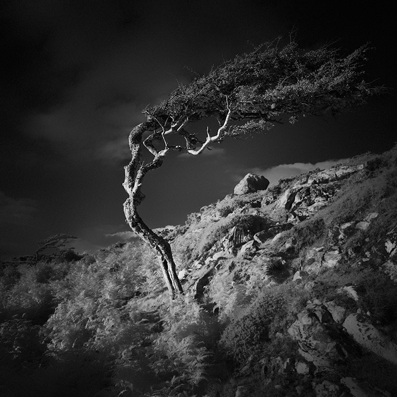 Connemara 2 © John Crowley – Honorable Mention in Landscape, Amateur