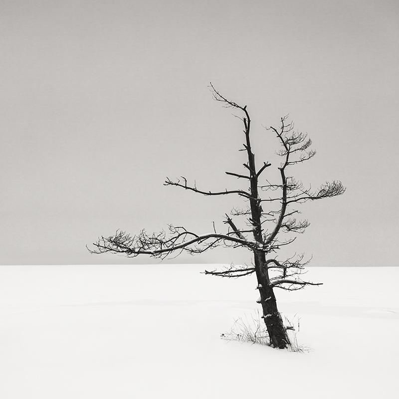 Snowed In © Jukka Laitila – Honorable Mention in Landscape, Amateur