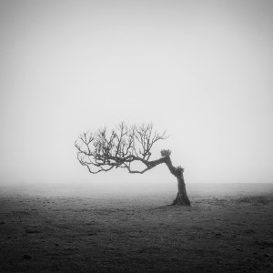 ND Awards 2015 – B&W Winners Gallery | MONOVISIONS - Black & White ...