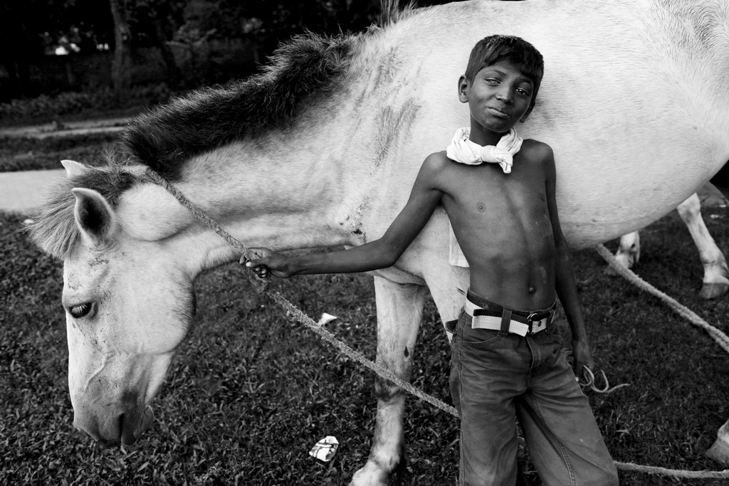 Boy with his horse entertains people in the park.