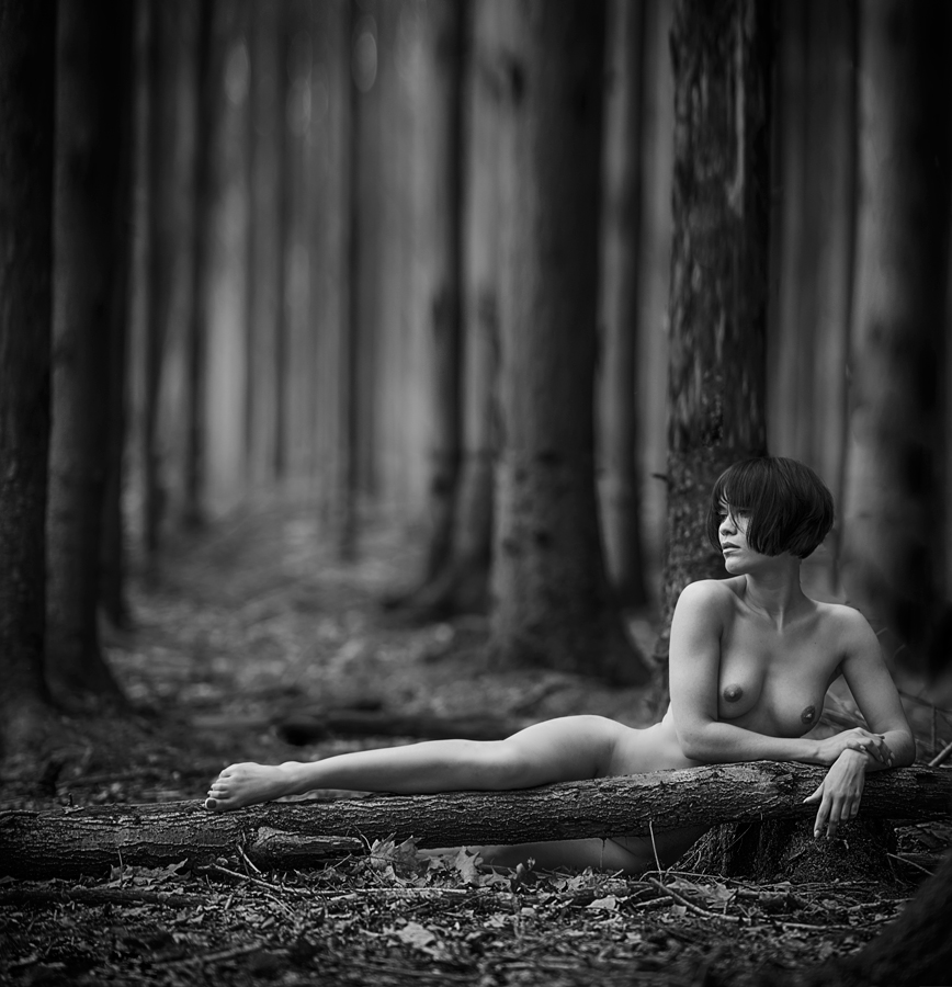 1st Place Winner - Nude Discovery of the Year 2015