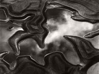 Brett Weston: Significant Details