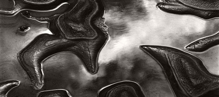 Brett Weston: Significant Details