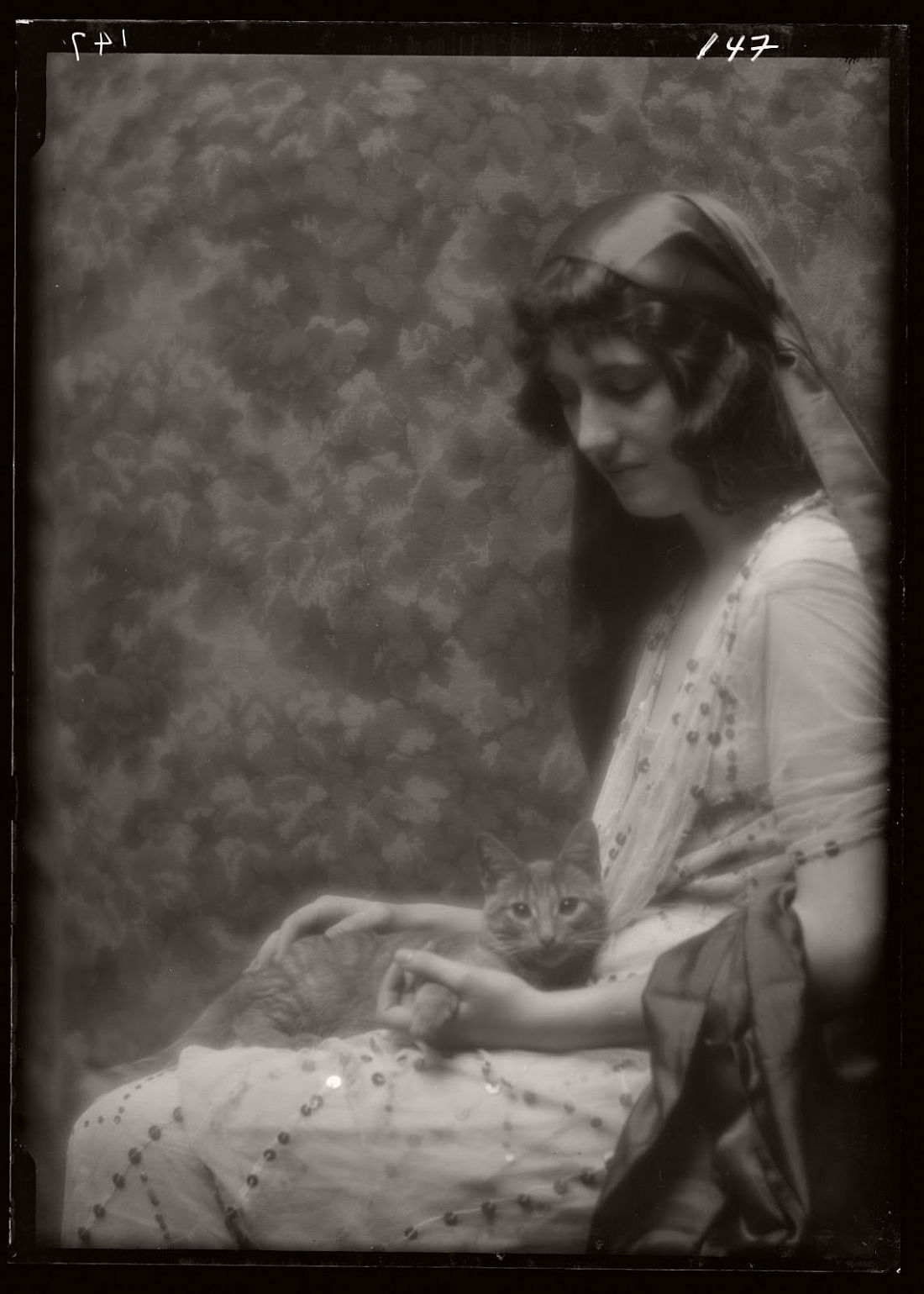 arnold-genthe-1910s-vintage-studio-portraits-of-girls-with-cat-08