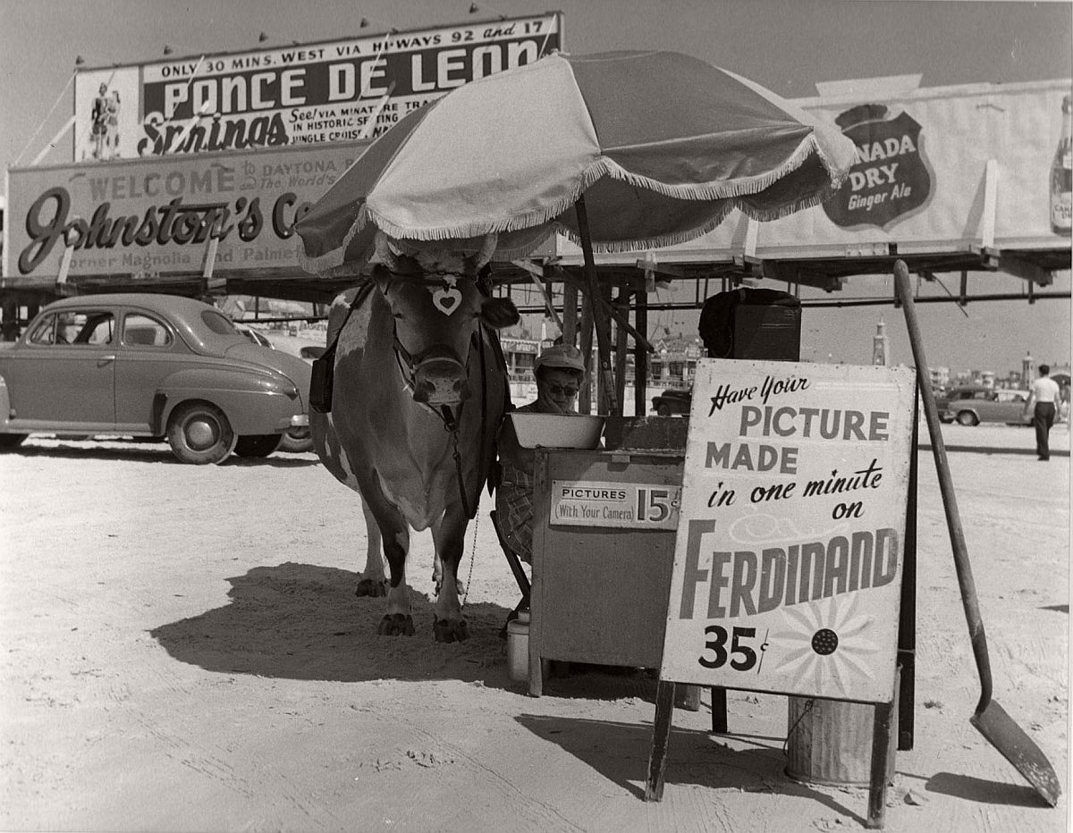 "Have your picture made on Ferdinand", Florida, 1954 by Berenice Abbott