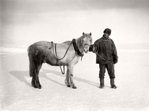 Biography: pioneer Antarctic photographer Herbert G. Ponting