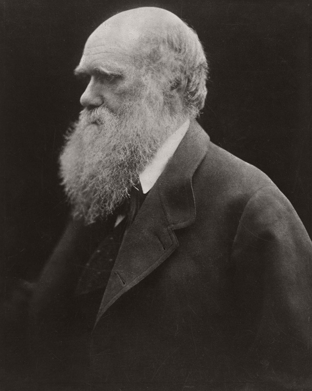 Charles Darwin, 1868