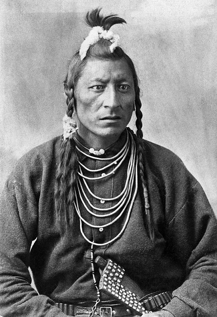 Chief owl of the Blackfoot, 1886