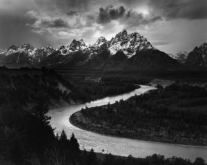 Fragile Waters: Photographs by Ansel Adams, Ernest H. Brooks II, and ...