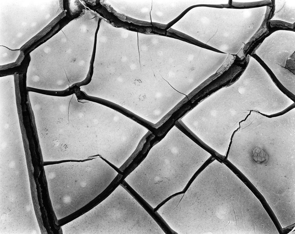 Master Photographer | Brett WESTON