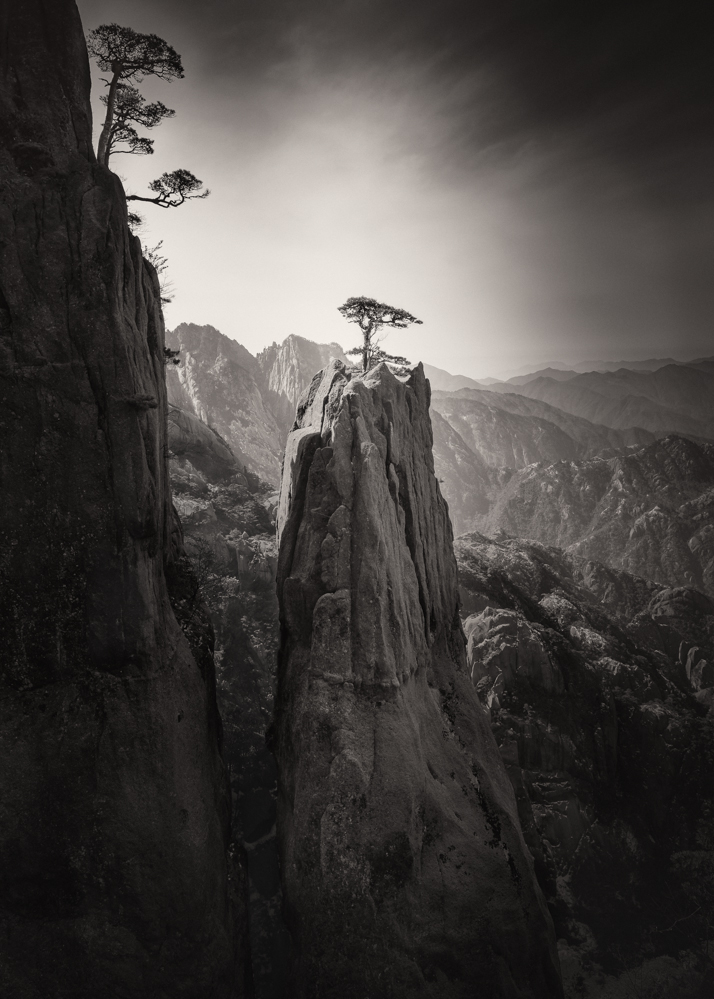 Nature 3RD PLACE WINNER (professional) 3RD PLACE WINNER Werner Elmer, Homage to Huangshan