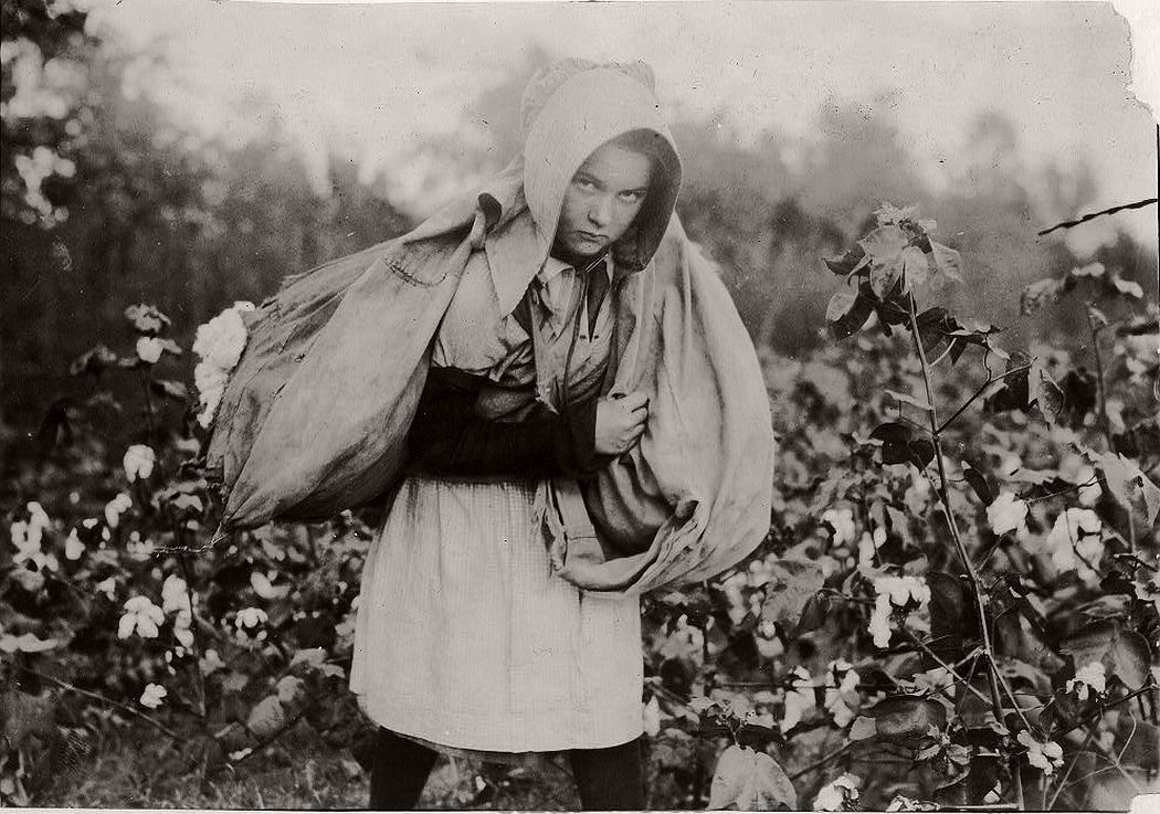 11-year-old girl picking cotton, Oklahoma, 1916