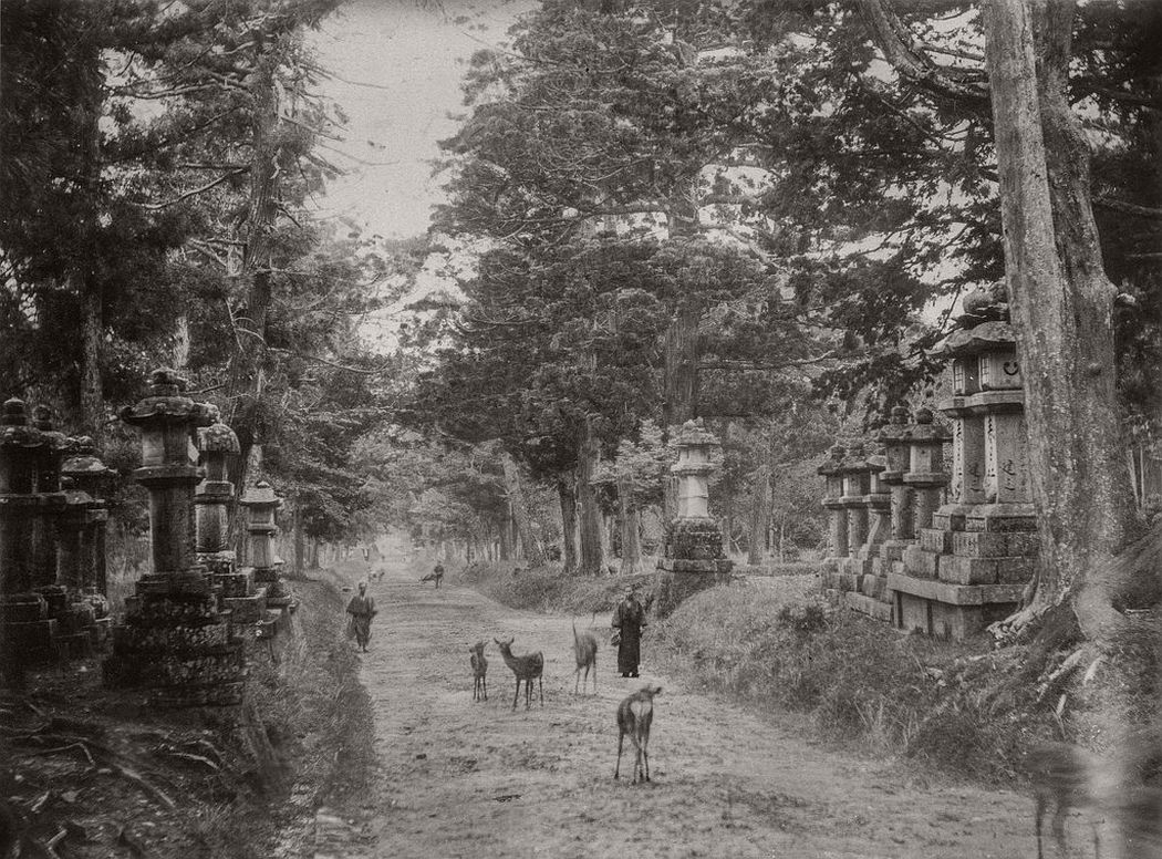 Kasuga-taisha shrine in Nara, ca. 1880