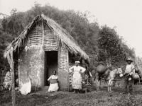 Vintage: Everyday Life in Jamaica (1890s)