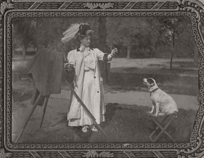 Lady photographing a dog with a view camera