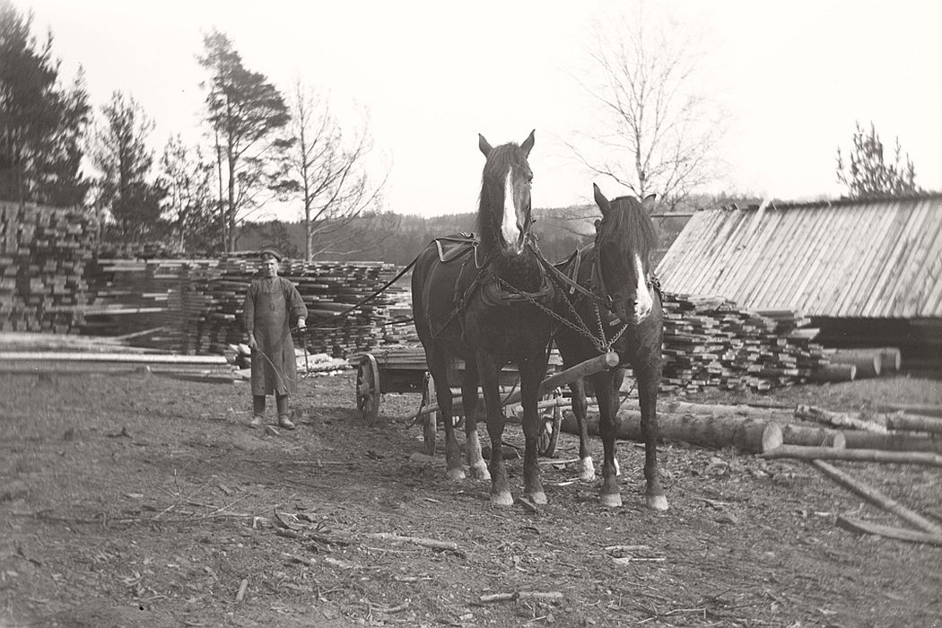 Saw horses and farmhand in 1913. This image from a temporary sawmill is probably from Fisherman home / Reverse during Frinnaryds vicarage. Oskar Jaren has namely taken several pictures from around the same time.