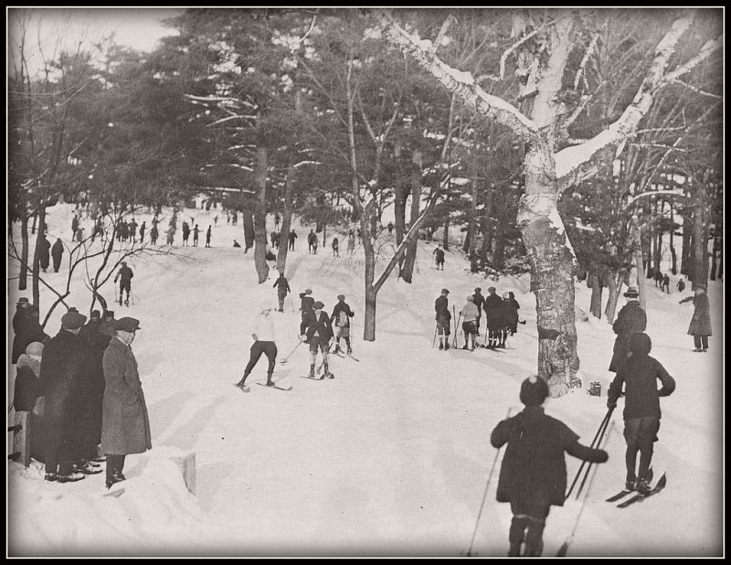 Skiing in Rockcliffe Park, ca. 1890s