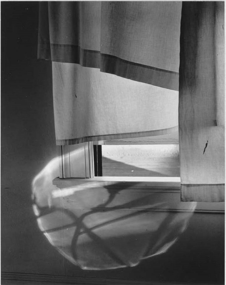 Harry Callahan, Aaron Siskind, Minor White: Black, White & Abstract ...